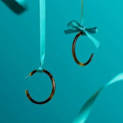 Tortoise Hoops