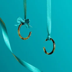 Tortoise Hoops